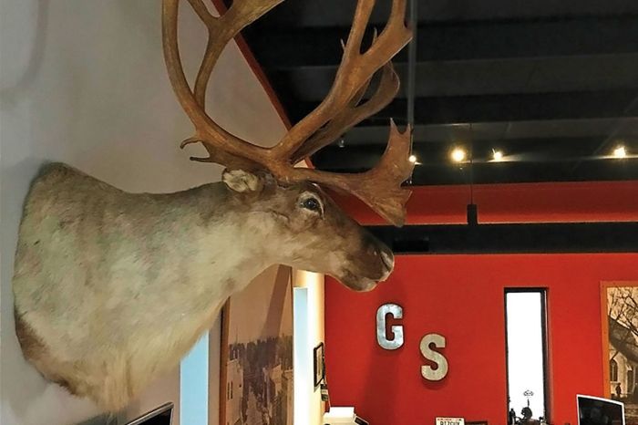 Fox stuffed stoned russian badly taxidermy when foxes meme sitting toy ebay ramadan down life morse internet was reborn celebrity