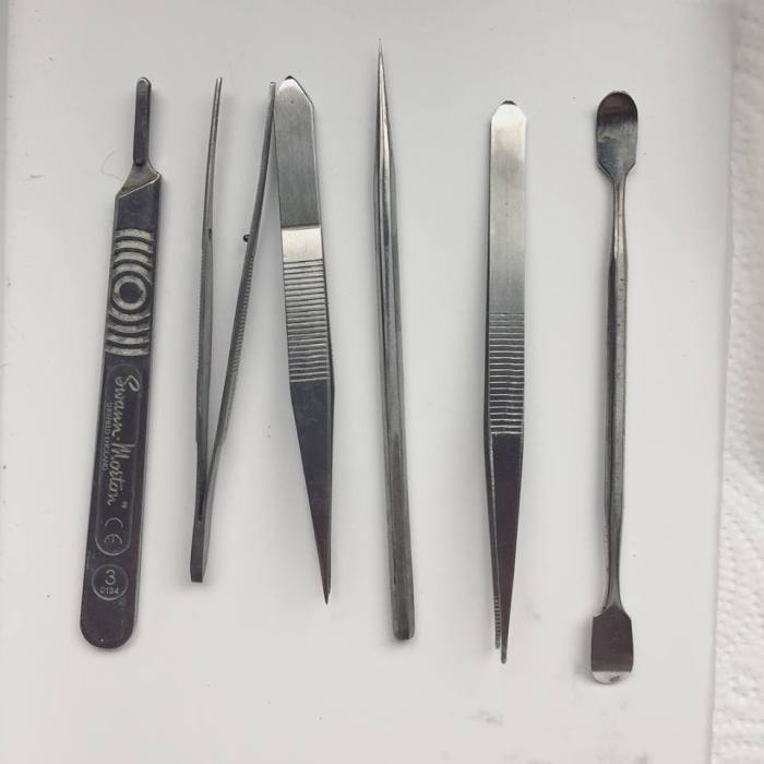 Taxidermy stand mounting axis supplies ebay