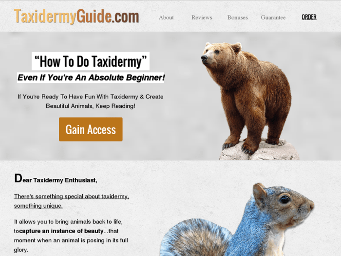 Taxidermy trophy beresford apartment Taxidermy trophy beresford apartment