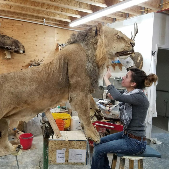 Taxidermy largest world museum natural history one collections collection inside sierra rarest contains university la chacon anna