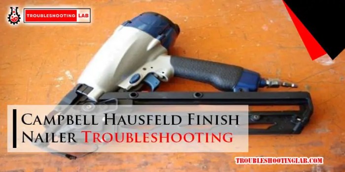 Troubleshooting Taxidermy: 7 Common Issues Solved