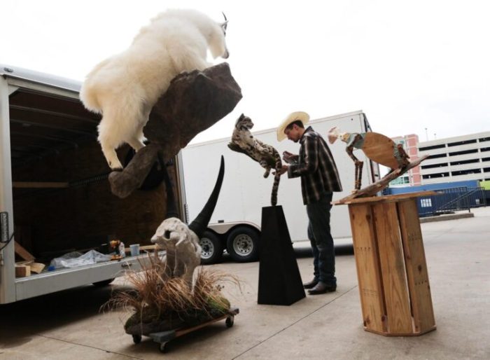 Taxidermy Costs: 4 Factors That Influence Pricing