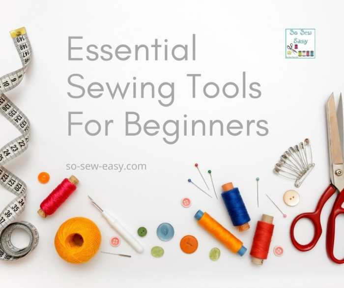 How to Taxidermy: 7 Essential Tools for Beginners