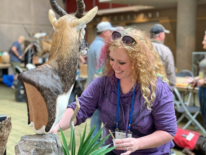 Taxidermy Competitions: 3 Ways to Showcase Your Skills