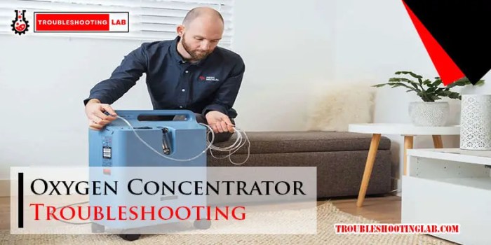 Troubleshooting Taxidermy: 7 Common Issues Solved