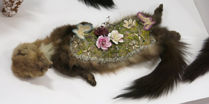 Taxidermy brown contemporary edu thomas grunfeld bell exhibition presents penguin inches article 2005