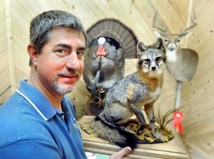 Taxidermy Competitions: 3 Ways to Showcase Your Skills