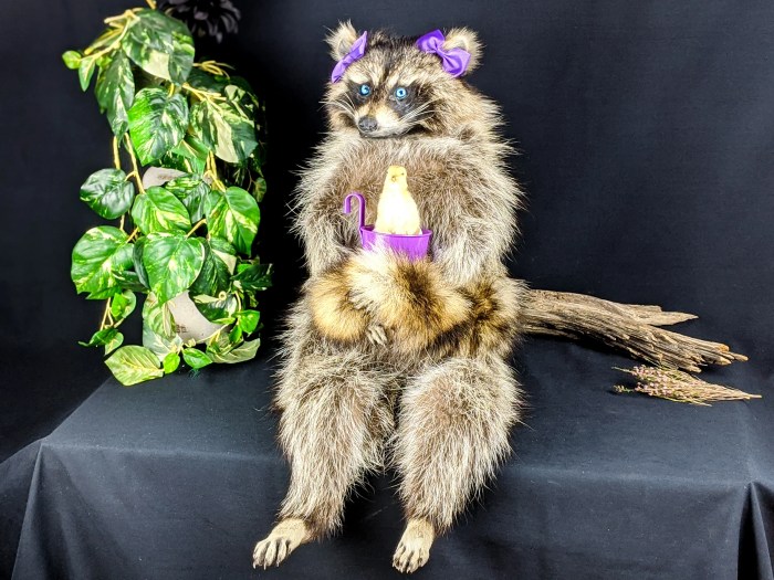 The Economics of Taxidermy: 8 Market Insights