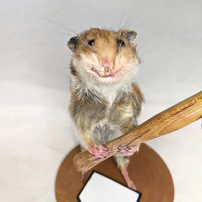 Taxidermy woodworking Taxidermy woodworking