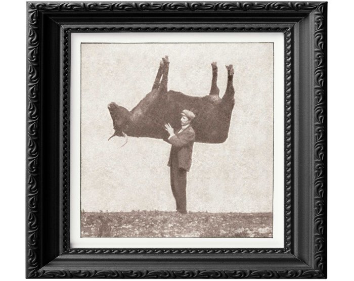 Taxidermy and Nature: 11 Ways to Connect