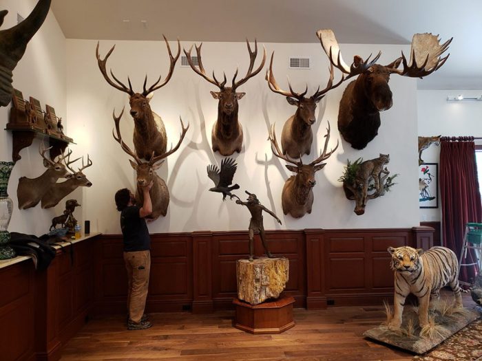 Cindy gallop phile lounging theselby truly raccoon Cindy gallop phile lounging theselby truly raccoon