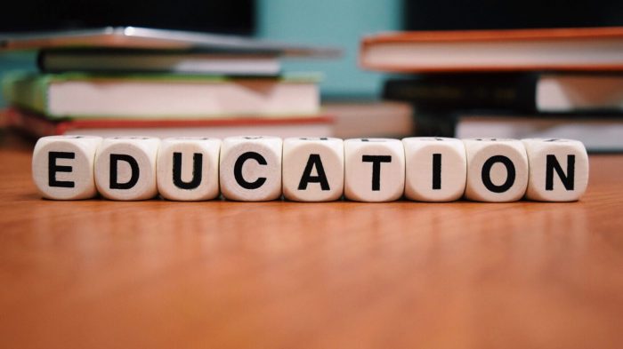 Taxidermy for Education: 9 Ways to Teach and Learn