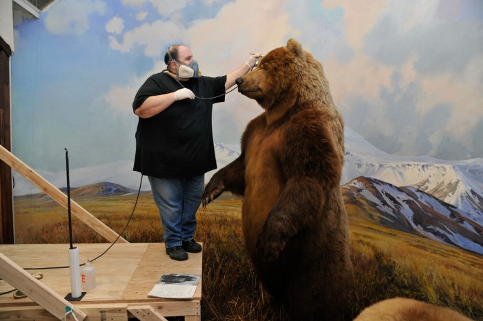 The Emotional Side of Taxidermy: 6 Personal Stories