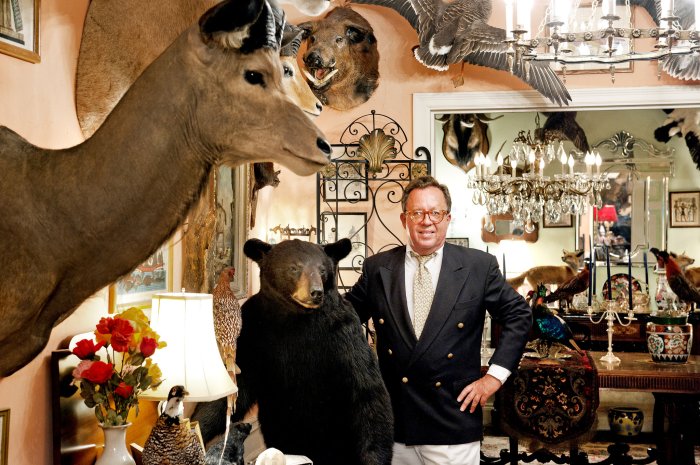 Taxidermy beresford