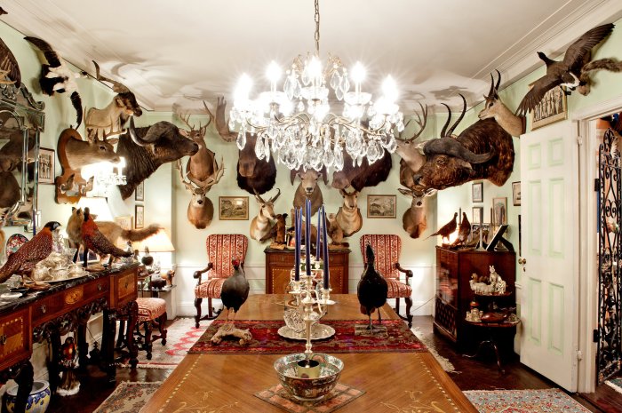 The Worldwide Appeal of Taxidermy: 11 Cultural Perspectives