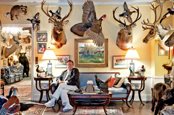 The Aesthetics of Taxidermy: 6 Design Principles