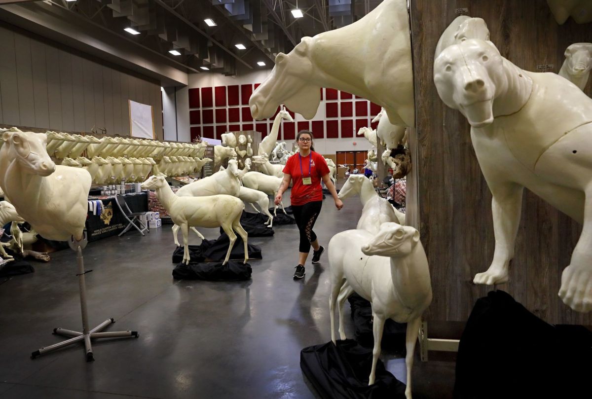 Taxidermy olympics missouri comes stltoday