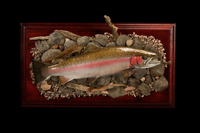 Taxidermy mounts reproductions