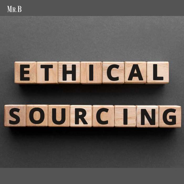 Taxidermy and Ethical Sourcing: 5 Considerations