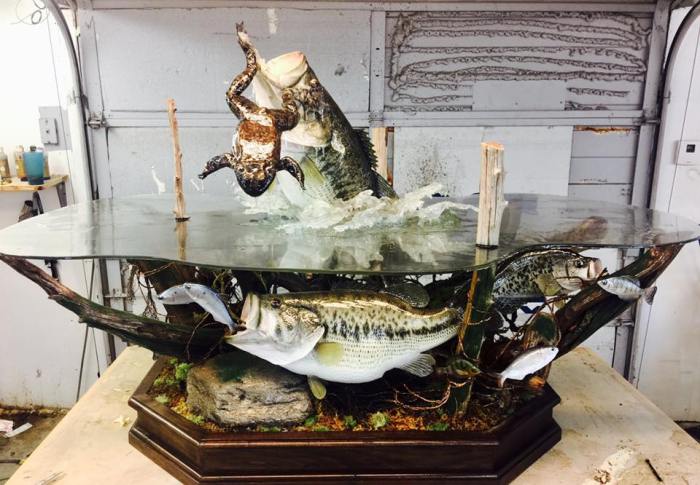 Taxidermy fish bass table coffee world montgomery vance frog mouth bull large class fishing winning