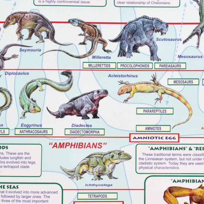 The Evolution of Taxidermy: 6 Key Milestones