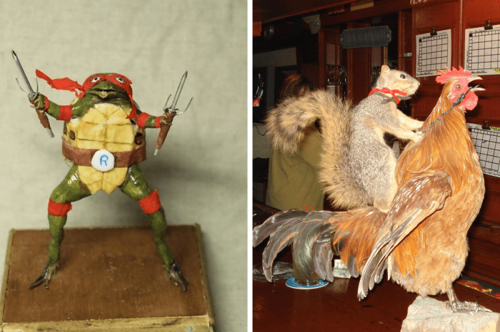The Cultural Significance of Taxidermy: 12 Examples