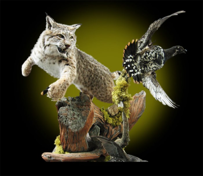 Taxidermy kudu lesser