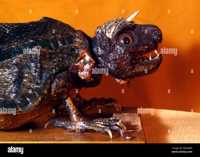 The Heritage of Taxidermy: 6 Historical Collections