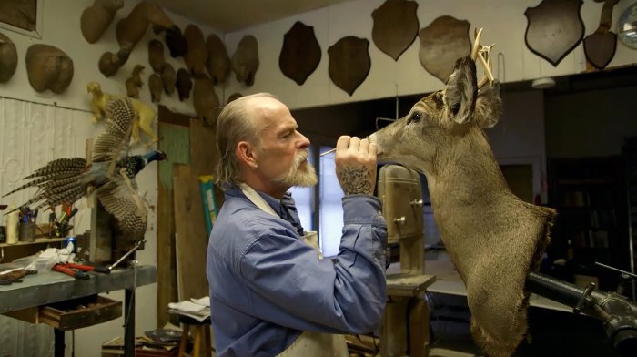 Taxidermy as a Symbol: 10 Cultural Meanings