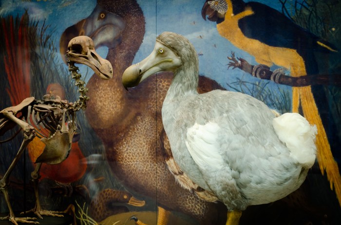 Taxidermist quiet keeper york Taxidermist quiet keeper york