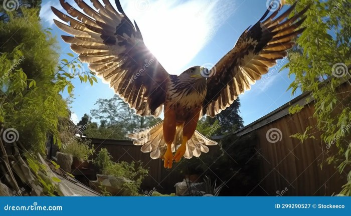 Taxidermy hobby death creative npr amanda sutton autopsies piece