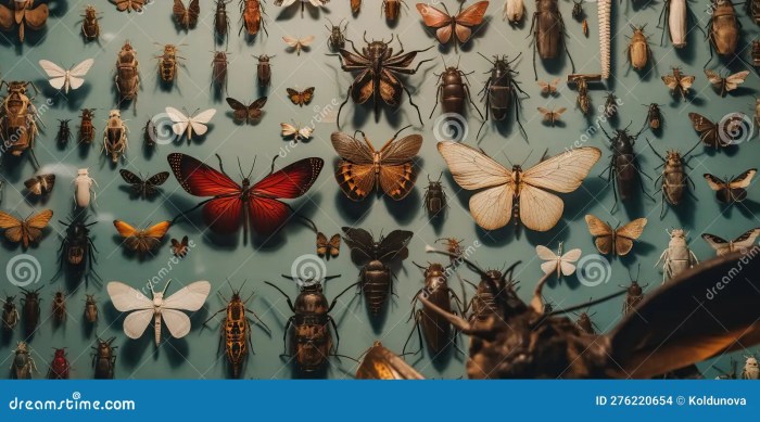 Taxidermy pato animal instructables bizarre em dashi zenkutsu xiv absurdos ratos mutated taxidermia askix