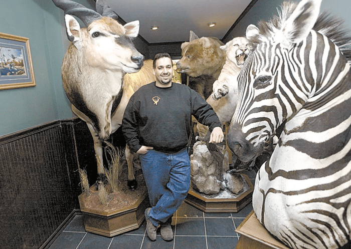 Taxidermy and Ecological Studies: 5 Research Methods