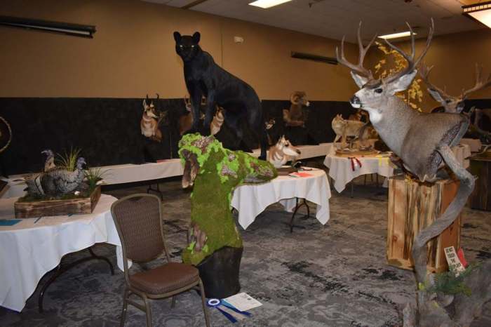 Taxidermy and Wildlife Management: 8 Collaborative Efforts