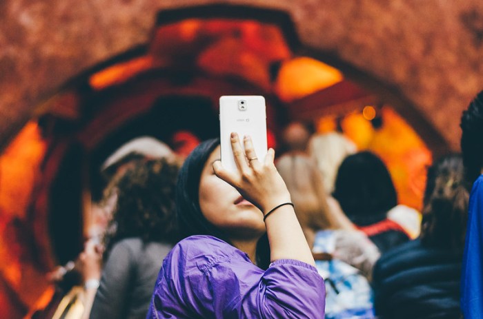 Taxidermy and Cultural Preservation: 7 Heritage Projects