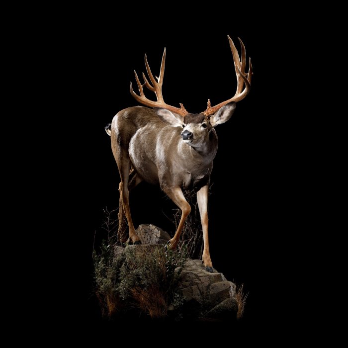 Scientists aquatic coastal