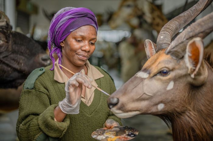 Taxidermy death life