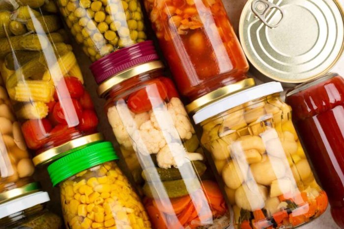 The Science of Preservation: 12 Taxidermy Methods