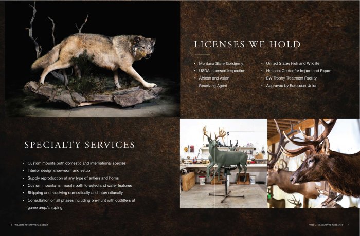 Taxidermy and Wildlife Management: 8 Collaborative Efforts