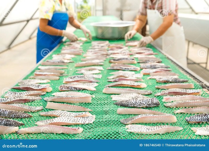 The Mastery of Fish Scale Preservation: 9 Advanced Techniques