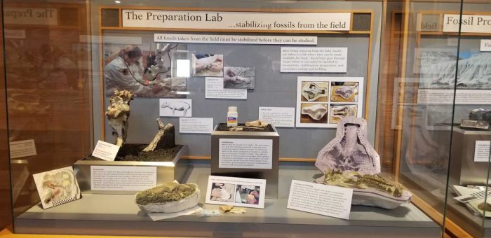 Fossil lab geological earth preparation microscope ancient life madsen scott bones bringing utah survey geology preparator past prep ugs fragile