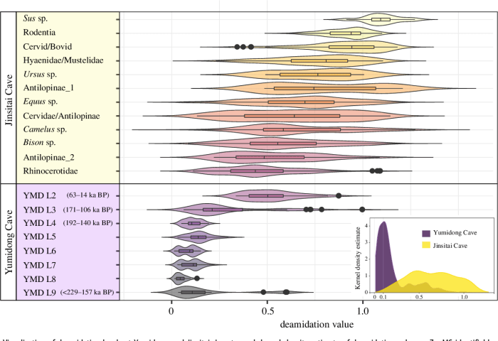 Taxidermy and Zooarchaeology: 8 Research Applications