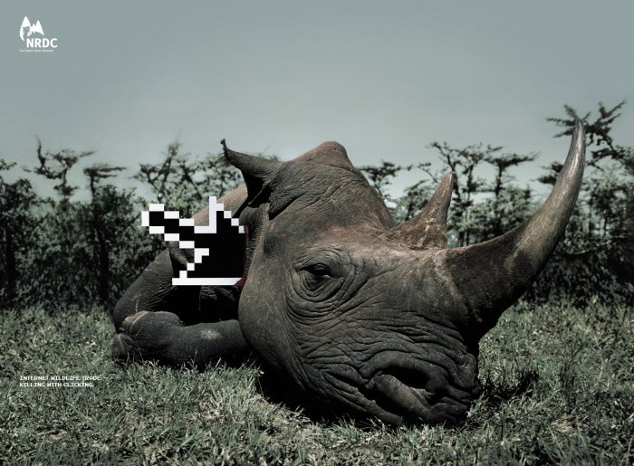 Taxidermy and Conservation Advocacy: 8 Public Awareness Campaigns