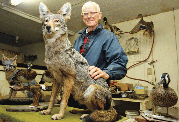 Taxidermy and Environmental Monitoring: 12 Data Collection Methods
