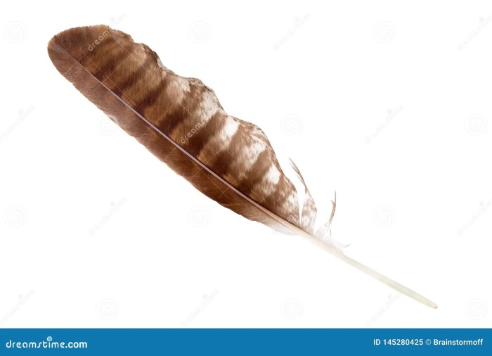 Perfecting Bird Feather Detail: 7 Taxidermy Techniques