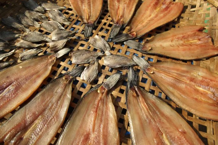 Drying preservation fish food sun dried process tray techniques sea conceptual thailand cuttlefish fresh Drying preservation fish food sun dried process tray techniques sea conceptual thailand cuttlefish fresh