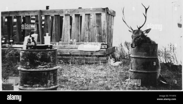 Taxidermy and Zooarchaeology: 8 Research Applications