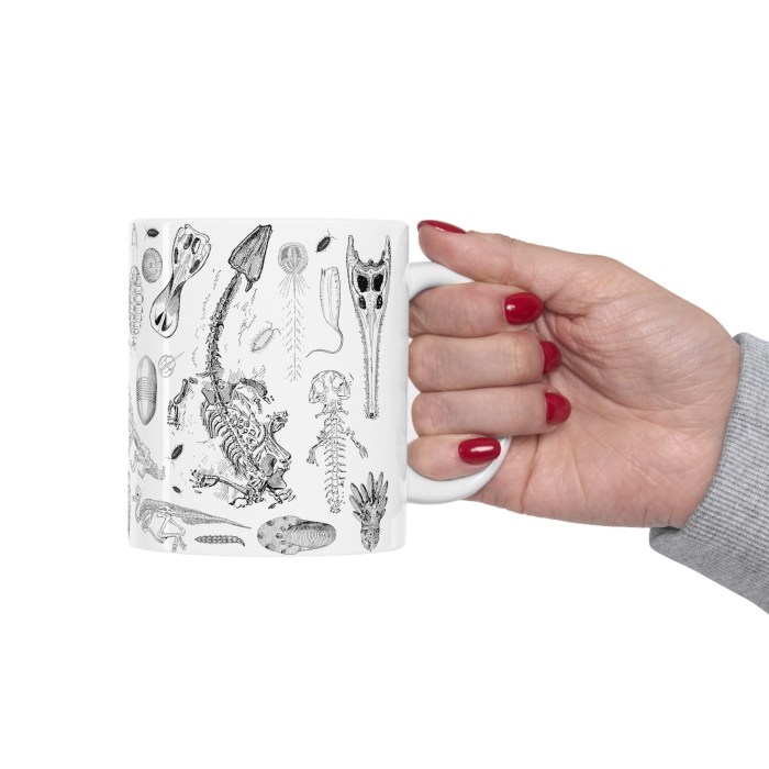 Taxidermy for Paleontology: 7 Fossil Preparation Techniques