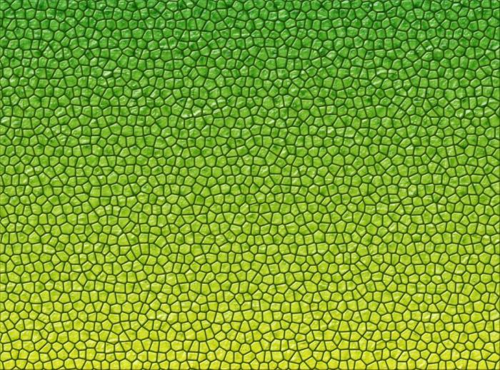 Perfecting Reptile Skin Texture: 10 Taxidermy Techniques