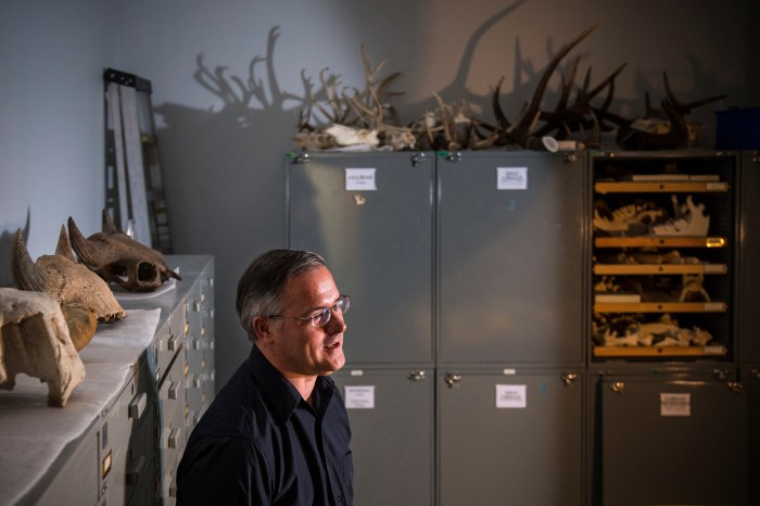 Taxidermy and Zooarchaeology: 8 Research Applications